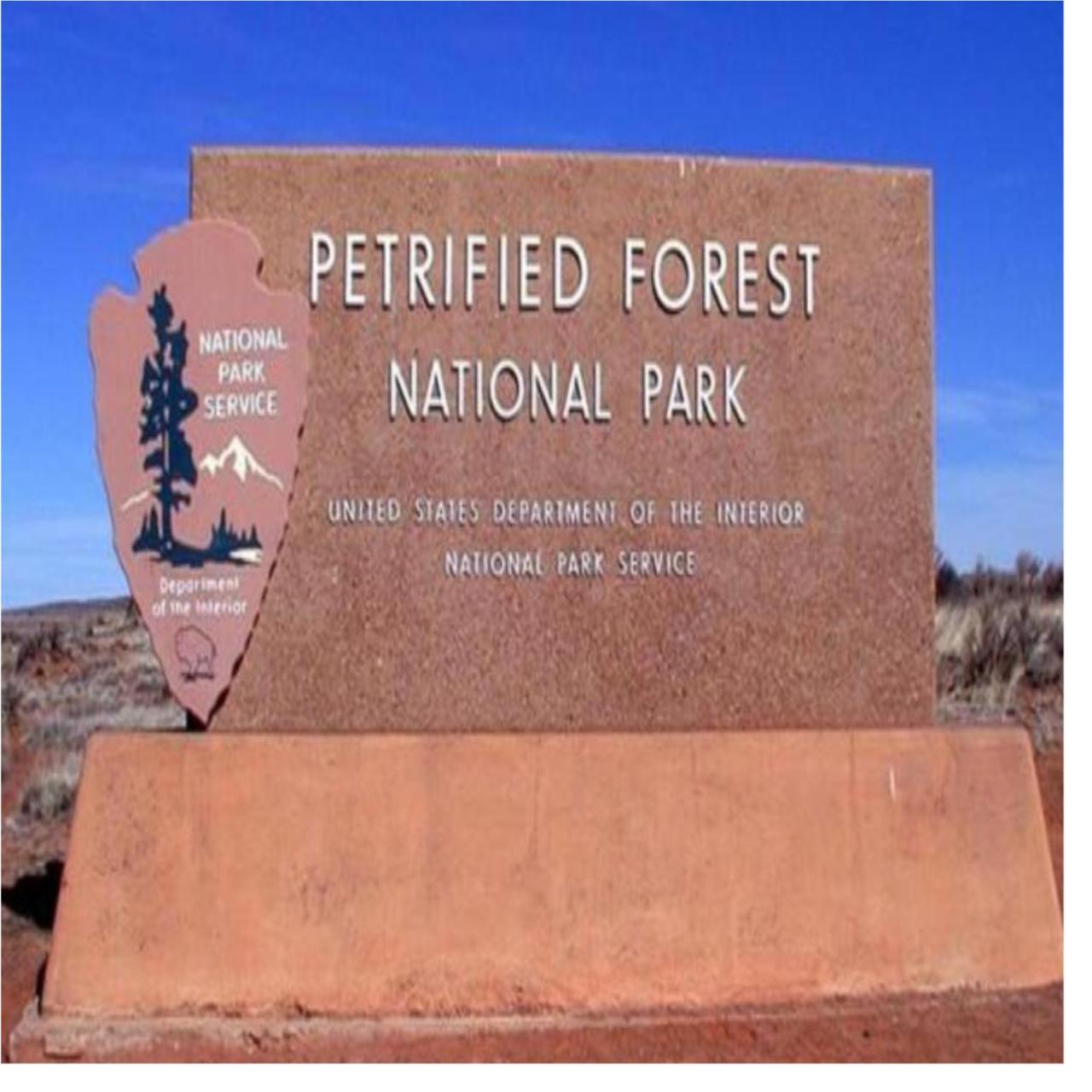 Brad'S Desert Inn Холбрук Экстерьер фото